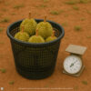 Industrial Round Basket 2093B (Durian) https://felton.com.my/product/industrial-round-basket-2093b-durian/ Felton Malaysia
