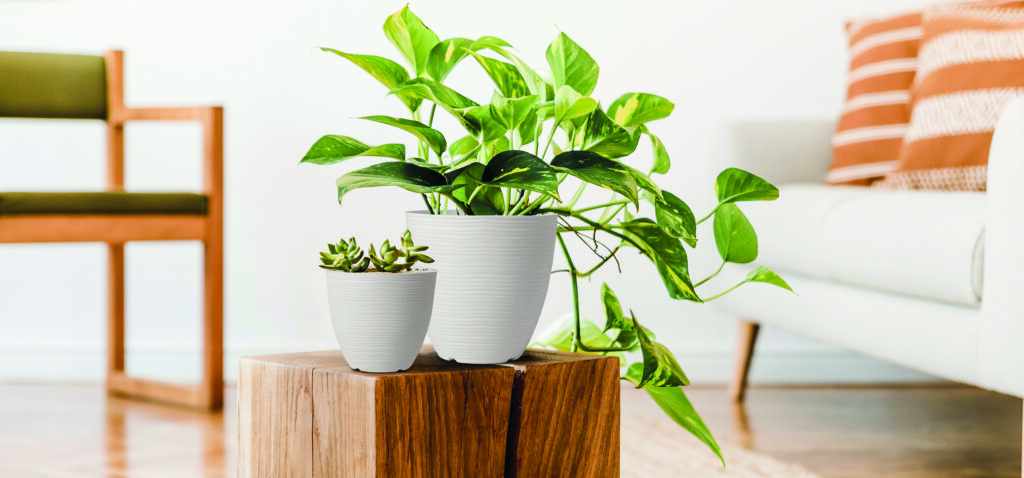 3 Tips on How to become better Planter https://felton.com.my/2023/12/27/floor-decking-flower-pots/ Felton Malaysia