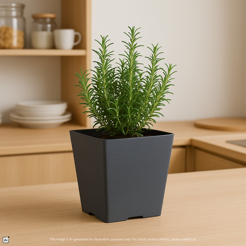 Sylvan Leafage Planter AI Pot Sylvan Leafage Planter Pot Series https://felton.com.my/product/square-flower-pot-2630-series/ Felton Malaysia
