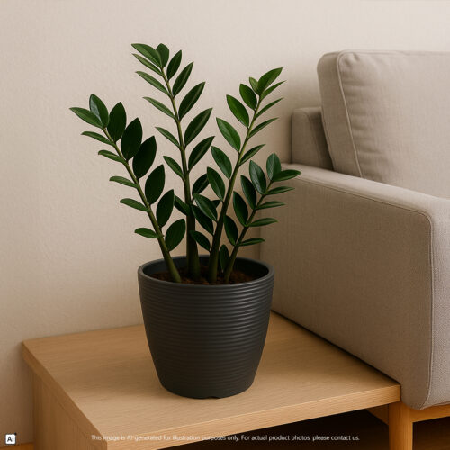 Verdant Mirage Planter Pot Series https://felton.com.my/product/round-flower-pot-fbl-2540-series/ Felton Malaysia