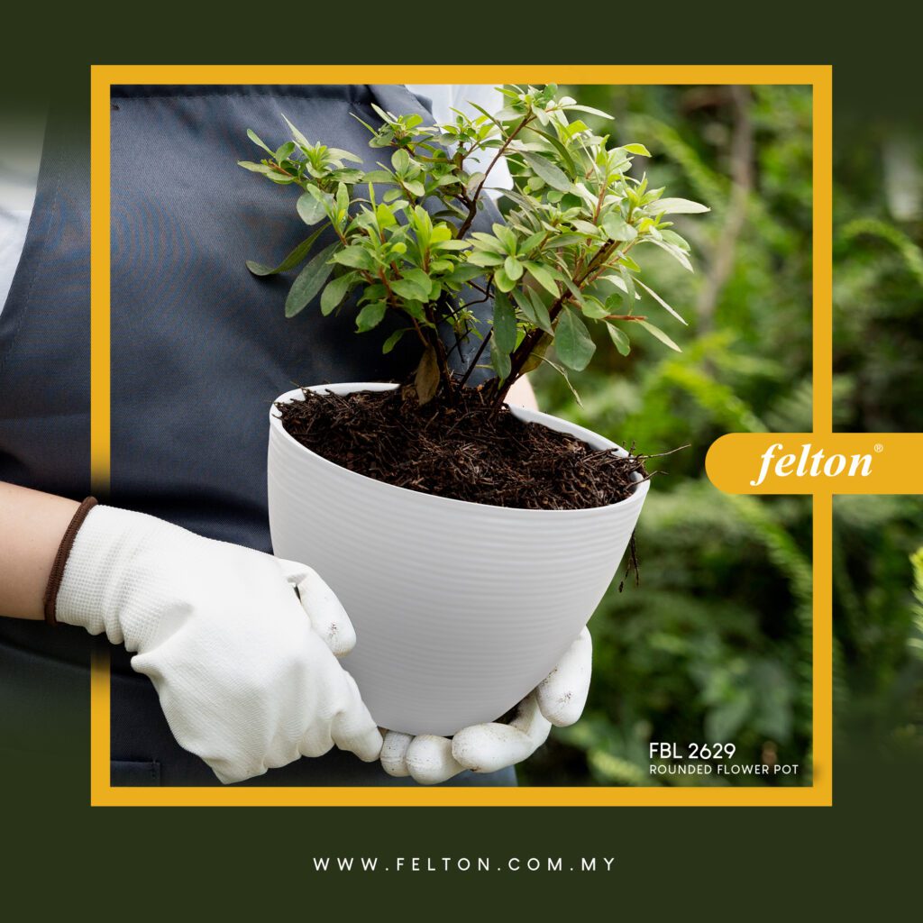 Collaboration https://felton.com.my/collaboration/ Felton Malaysia