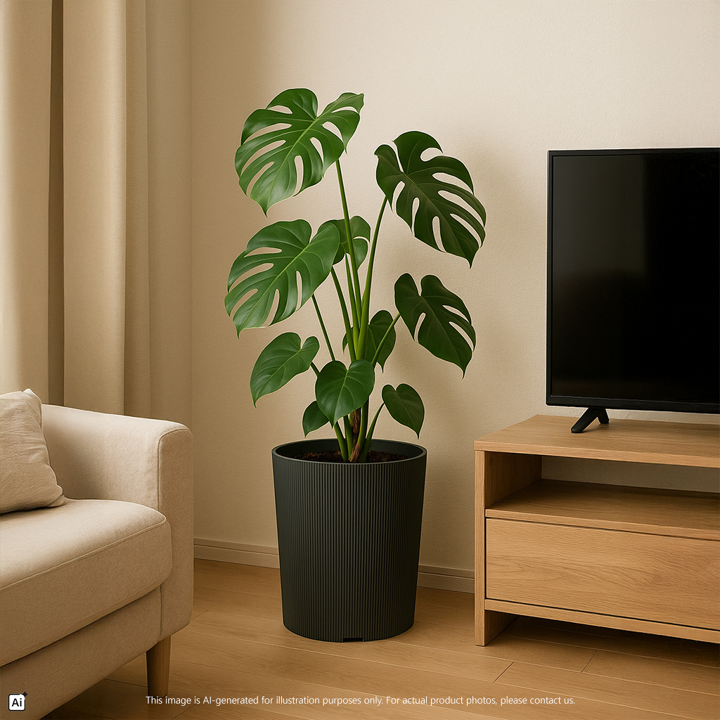 Verdant Haven Planter Pot Series https://felton.com.my/product/round-flower-pot-2760-series/ Felton Malaysia