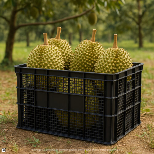 Industrial Stackable Basket 2068B https://felton.com.my/product/industrial-stackable-basket-2068b/ Felton Malaysia