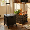 Foldable Shopping Trolley Series https://felton.com.my/product/foldable-shopping-trolley-series/ Felton Malaysia