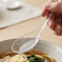 Felton Chinese Spoon CS01 disposable transparent spoon